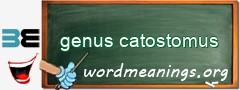 WordMeaning blackboard for genus catostomus